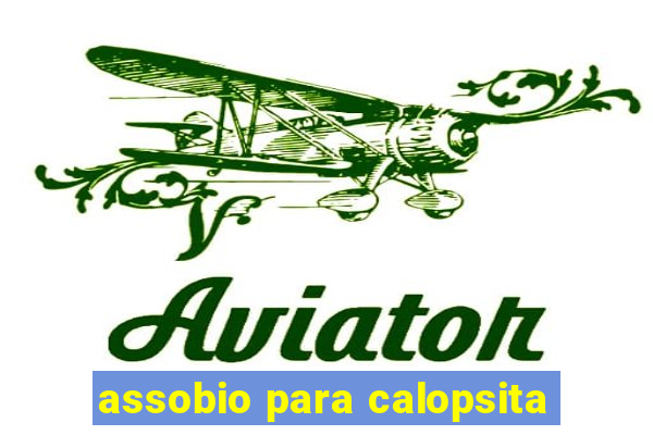 assobio para calopsita